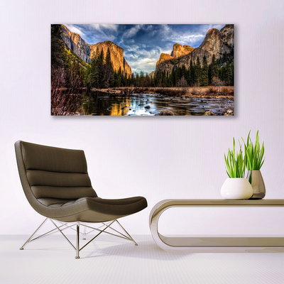 Acrylic Print Mountain forest lake nature green grey