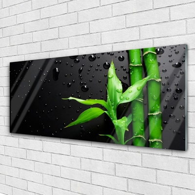 Acrylic Print Bamboo leaves floral green black