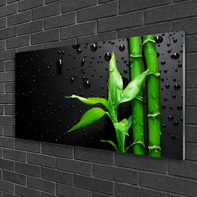 Acrylic Print Bamboo leaves floral green black