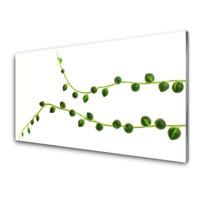 Acrylic Print Ornamental plant floral green white