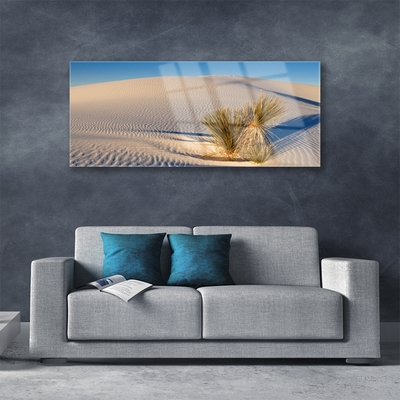 Acrylic Print Desert landscape brown green