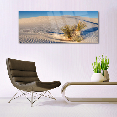 Acrylic Print Desert landscape brown green