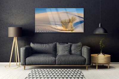 Acrylic Print Desert landscape brown green