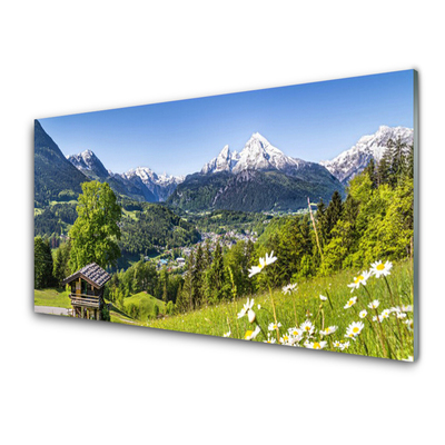 Acrylic Print Mountain fields nature green grey white