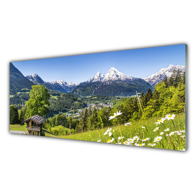 Acrylic Print Mountain fields nature green grey white