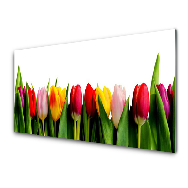 Acrylic Print Tulips floral red pink yellow green