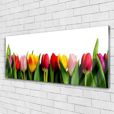 Acrylic Print Tulips floral red pink yellow green