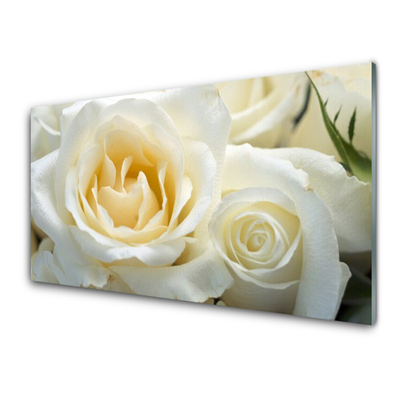 Acrylic Print Roses floral white green