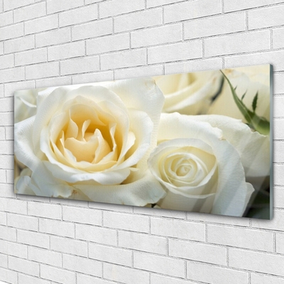 Acrylic Print Roses floral white green