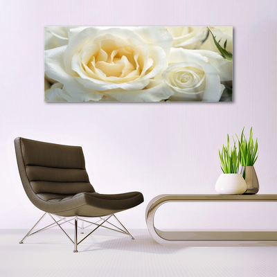 Acrylic Print Roses floral white green