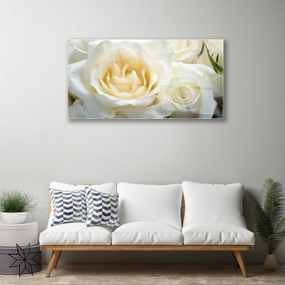 Acrylic Print Roses floral white green