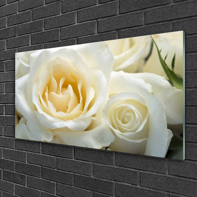 Acrylic Print Roses floral white green