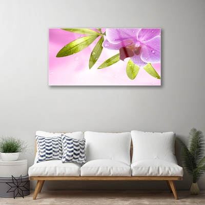 Acrylic Print Flower leaves floral pink green