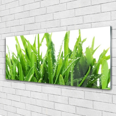 Acrylic Print Grass floral green