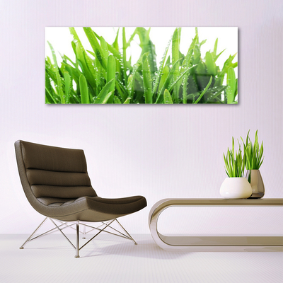 Acrylic Print Grass floral green