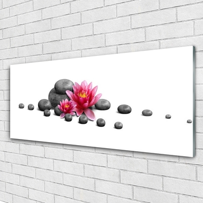 Acrylic Print Flower stones art red grey white