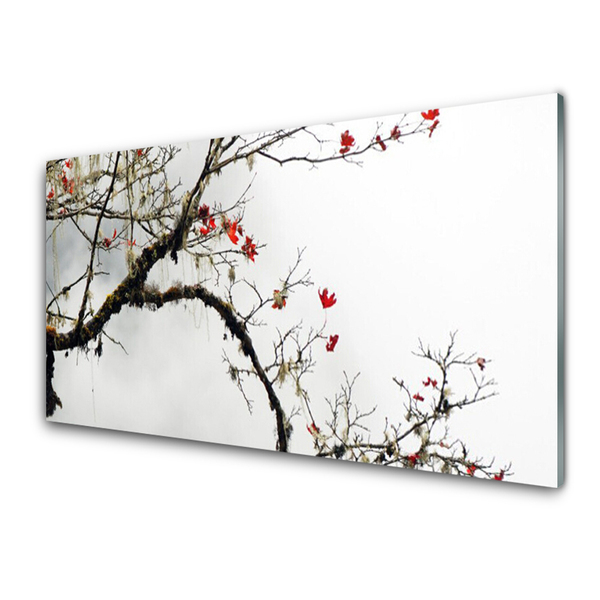 Acrylic Print Branch nature brown orange