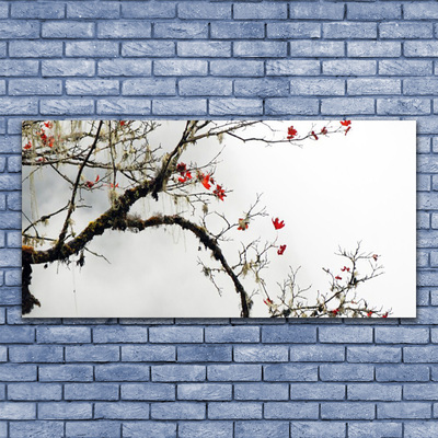 Acrylic Print Branch nature brown orange