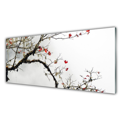 Acrylic Print Branch nature brown orange