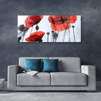 Acrylic Print Poppies floral red black