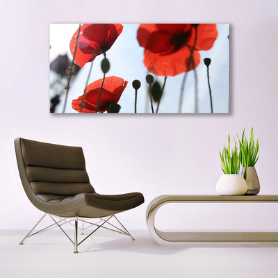 Acrylic Print Poppies floral red black