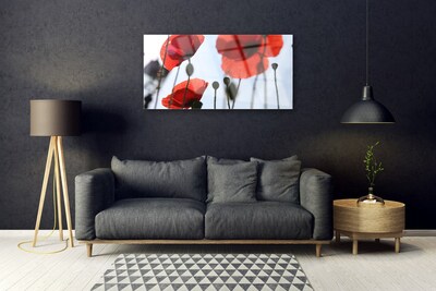 Acrylic Print Poppies floral red black