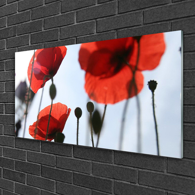 Acrylic Print Poppies floral red black