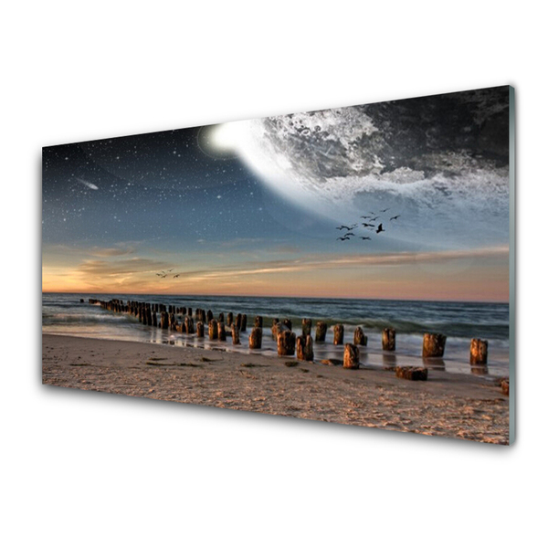 Acrylic Print Ocean beach landscape brown black blue