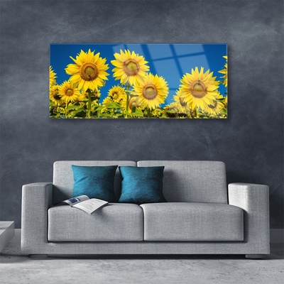Acrylic Print Sunflowers floral yellow green