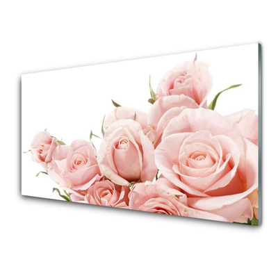 Acrylic Print Roses floral beige white