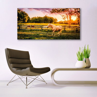 Acrylic Print Horse meadow animals green brown
