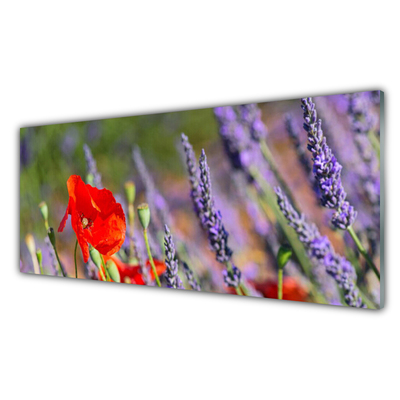 Acrylic Print Flowers floral red purple green