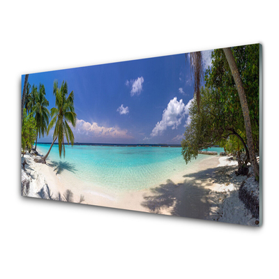 Acrylic Print Sea beach palm trees landscape white blue green brown