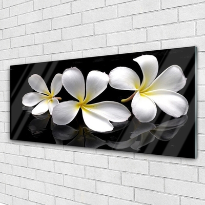 Acrylic Print Flowers floral white black