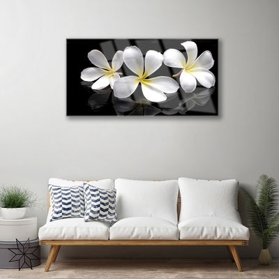 Acrylic Print Flowers floral white black