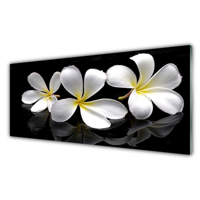 Acrylic Print Flowers floral white black