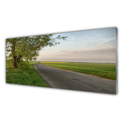 Acrylic Print Road tree grass landscape green blue grey