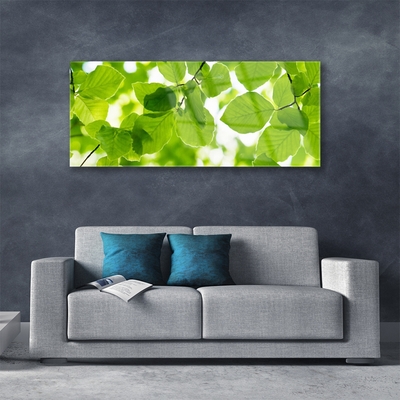 Acrylic Print Leaves floral green