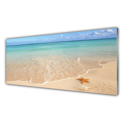 Acrylic Print Sea beach starfish landscape blue brown
