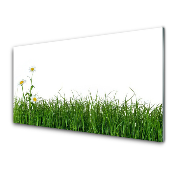 Acrylic Print Weed nature green