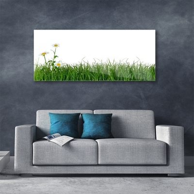 Acrylic Print Weed nature green