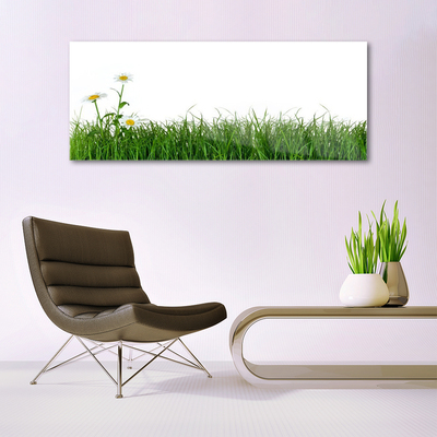 Acrylic Print Weed nature green