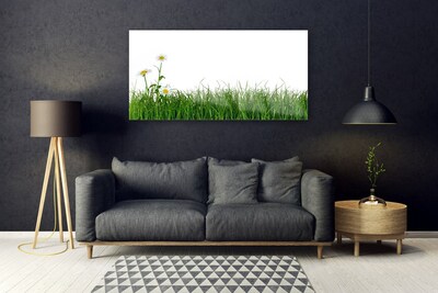 Acrylic Print Weed nature green