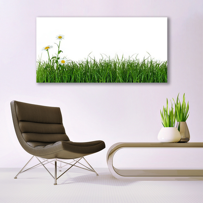 Acrylic Print Weed nature green