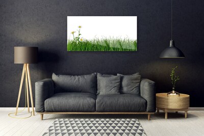 Acrylic Print Weed nature green