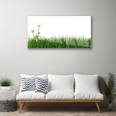 Acrylic Print Weed nature green