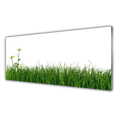 Acrylic Print Weed nature green