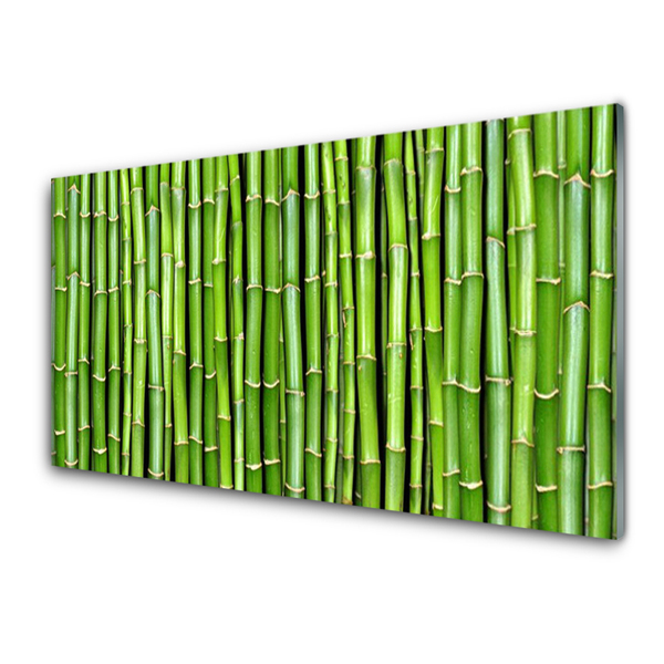 Acrylic Print Bamboo floral green