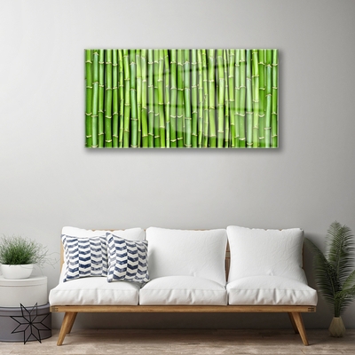 Acrylic Print Bamboo floral green