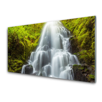 Acrylic Print Waterfall nature white grey green